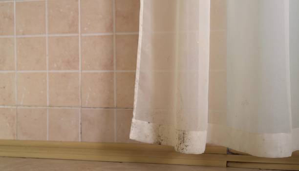 Best Mold Prevention Services  in Glen Ellen, CA