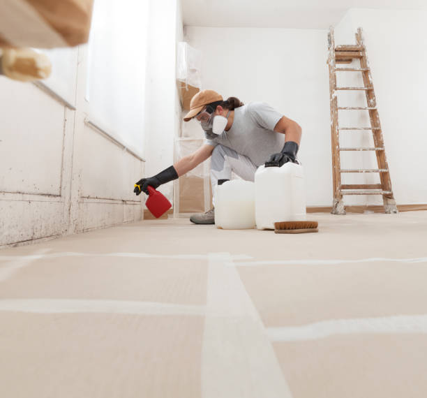 Best Mold-Related Health Consultation  in Glen Ellen, CA
