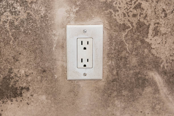 Best Commercial Mold Inspection  in Glen Ellen, CA